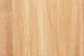 Wood texture for design and decoration. Wood background close-up. Wood surface Royalty Free Stock Photo