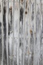 Old grunge black and gray wood panel with abstract grain surface texture and rusty nails, vertical striped background or backdrop Royalty Free Stock Photo