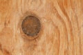 Wood texture and gnarl for pattern and background Royalty Free Stock Photo