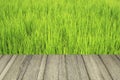 Wood texture and green field Royalty Free Stock Photo