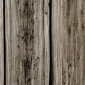 Wood panels, close up, coarse grain, contrast texture, flat backdrop or background Royalty Free Stock Photo