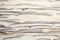 Wood texture. Royalty Free Stock Photo