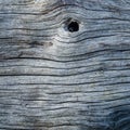 Wood Texture With Knot Royalty Free Stock Photo