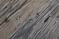 Wood Texture. Lining Boards Wall. Wooden Background Pattern. Showing Growth Rings