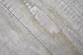 Wood Texture. Lining Boards Wall. Wooden Background Pattern