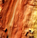 Wood texture macro Royalty Free Stock Photo