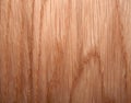 Wood texture. Oak tree sheet surface Royalty Free Stock Photo