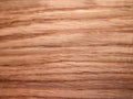 Wood texture. Oak tree sheet surface Royalty Free Stock Photo