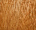 Wood texture. Oak tree sheet surface Royalty Free Stock Photo