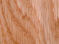 Wood texture. Oak tree sheet surface Royalty Free Stock Photo