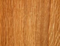 Wood texture. Oak tree sheet surface Royalty Free Stock Photo