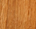 Wood texture. Oak tree sheet surface Royalty Free Stock Photo