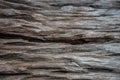 Wood texture