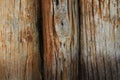 Wood texture. Old log wood a part of the trunk or a large branch of a tree were lined to make the wall