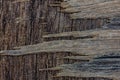 wood texture and patten background