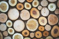 Wood texture. Pieces of sawn logs. Natural background