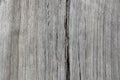 Wood texture pine old boards grunge background Royalty Free Stock Photo