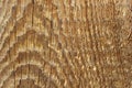 Wood texture pine old boards grunge background Royalty Free Stock Photo