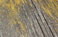 Wood texture pine old boards grunge background Royalty Free Stock Photo