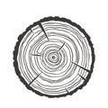 Wood texture rings slice of tree wooden stump Royalty Free Stock Photo