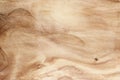 Wood texture rough and burr for background Royalty Free Stock Photo