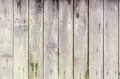 Wood texture with rusty nails. Royalty Free Stock Photo