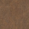 Wood texture, Seamless Texture. High resolution