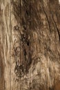 Wood texture Royalty Free Stock Photo