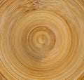 Wood texture surface bamboo rings circles Royalty Free Stock Photo