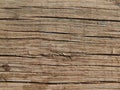 Wood texture timber tree Royalty Free Stock Photo
