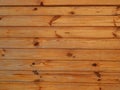 Wood texture timber tree Royalty Free Stock Photo