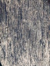 Wood texture Royalty Free Stock Photo