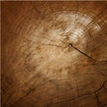 Wood texture Tree rings, sawing wood