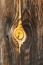 Wood texture with a visible ring Royalty Free Stock Photo