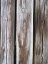 Wood texture