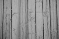 Wood Texture, White Wooden Background, Vintage Grey Timber Plank Wall Royalty Free Stock Photo