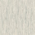 Wood texture. Wood abstract background vector
