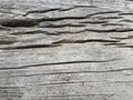 Wood texture, wood background