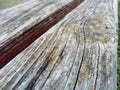 Wood texture. A wooden bench. Moss and lichens on the surface. Cracks on the log. The product of the boards. Moisture on wood