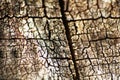Wood Texture, Wooden Grain macro Background