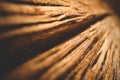 Wood Texture, Wooden Plank Grain Background, Desk in Perspective Close Up, Striped Timber, Old Table or Floor Board Royalty Free Stock Photo
