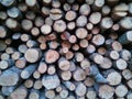 Wood