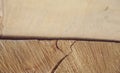 Wood timber construction material for background and texture. close up. abstract background. small depth of field. Royalty Free Stock Photo