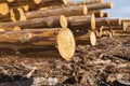 Wood timber construction material for background and texture.. Timber. Summer, blue sky. Raw. Industries Royalty Free Stock Photo