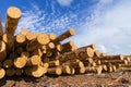 Wood timber construction material for background and texture.. Timber. Summer, blue sky. Raw. Industries Royalty Free Stock Photo