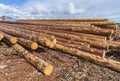 Wood timber construction material for background and texture.. Timber. Summer, blue sky. Raw. Industries Royalty Free Stock Photo