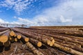 Wood timber construction material for background and texture.. Timber. Summer, blue sky. Raw. Industries Royalty Free Stock Photo