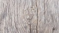 Wood macro 2