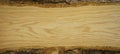 Wood timber structure background banner panorama wide - Spruce / fir wooden board template, with tree edge and bark and space for Royalty Free Stock Photo