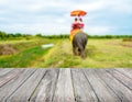 Wood top view on blurred Tourists on elephant ride tourism background. tourism concepts